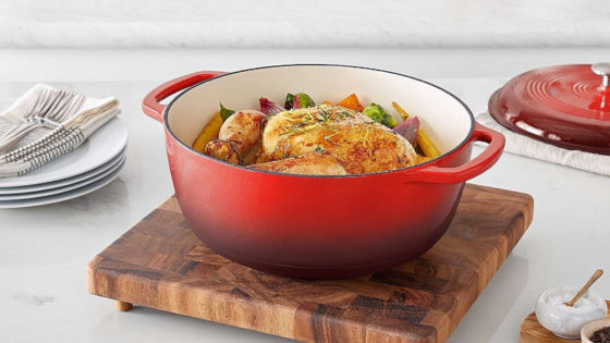 enameled dutch oven reviews